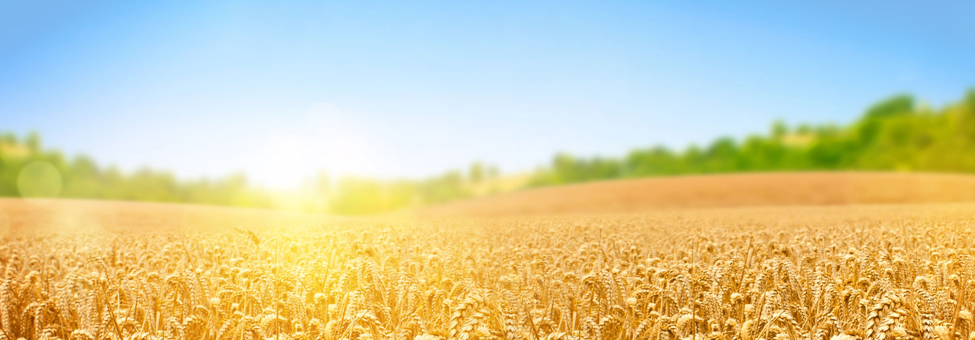 以人為本，誠(chéng)信共贏(yíng)